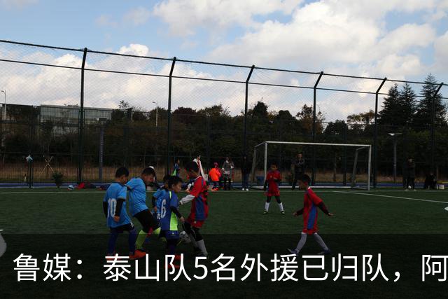 鲁媒：泰山队5名外援已归队，阿尔瓦罗6月份复出难度比较大